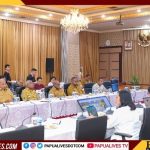 Gubernur Meki Nawipa Ikut Audiensi dengan Dirjen Perimbangan Keuangan