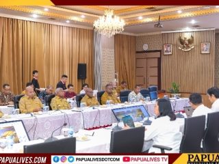 Gubernur Meki Nawipa Ikut Audiensi dengan Dirjen Perimbangan Keuangan