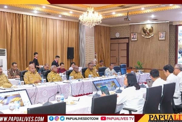 Gubernur Meki Nawipa Ikut Audiensi dengan Dirjen Perimbangan Keuangan