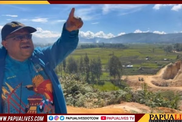 Anggota DPR Papua Tengah John NR Gobai Dorong Raperdasi Perlindungan dan Pengembangan Noken