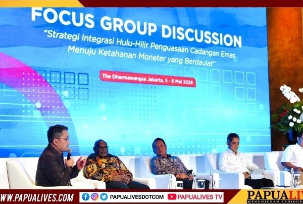 Pemprov Papua Tengah Segera Tertibkan Tambang Ilegal, Siapkan IPR untuk Rakyat