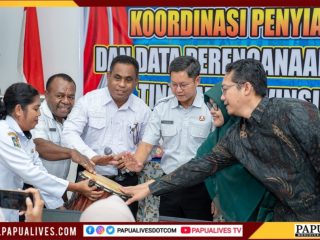 Hanya 3 dari 9 RS Punya Dokter Spesialis Lengkap, Pemprov Papua Tengah Perintahkan Pemutakhiran Data SDM Kesehatan
