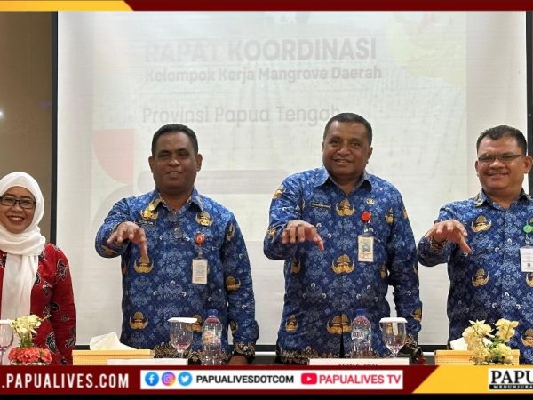 Selamatkan Mangrove, Dongkrak Ekonomi: Pemprov Papua Tengah Luncurkan Strategi Ekowisata dan Rehabilitasi Pesisir
