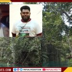 Darurat Lingkungan di Papua: WALHI Catat 770 Ribu Hektare Hutan Hilang, PGGPT Serukan "Perlawanan Iman" Lawan Illegal Logging