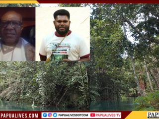 Darurat Lingkungan di Papua: WALHI Catat 770 Ribu Hektare Hutan Hilang, PGGPT Serukan "Perlawanan Iman" Lawan Illegal Logging