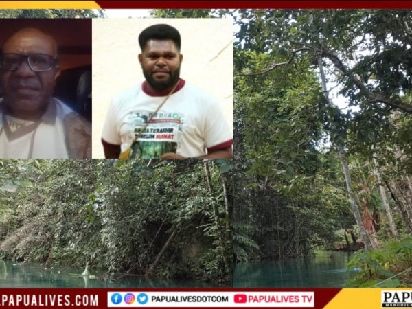 Darurat Lingkungan di Papua: WALHI Catat 770 Ribu Hektare Hutan Hilang, PGGPT Serukan "Perlawanan Iman" Lawan Illegal Logging