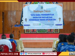 Targetkan Peran 'Role Model' Inovasi di Tanah Papua, Pemprov Papua Tengah Genjot Akurasi Data IGA