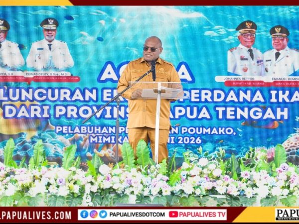 Gubernur Meki Nawipa: Laut Papua Tengah Mulai 'Bicara' ke Dunia Lewat Ekspor Ikan Perdana dari Mimika