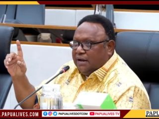 John NR Gobai Usulkan Pembentukan Tim Khusus Pengelola Danau dan Penerapan Zonasi Berkelanjutan