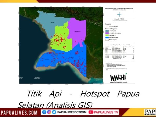 WALHI: Pembukaan Lahan Skala Besar Perparah Risiko Kebakaran di Papua Selatan
