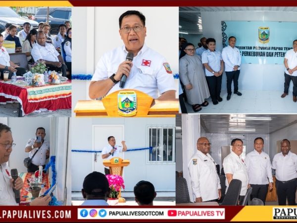 Gedung Dinas Perkebunan dan Peternakan Papua Tengah Diresmikan, Perkuat Sektor Penyangga Ekonomi