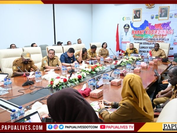 Gubernur Meki Nawipa Perintahkan Pemkab Alokasi Anggaran Cadangan Pangan, Data Harus Terverifikasi BPS