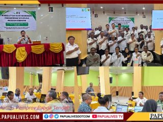 Gandeng UNHAS dan Kemenkes, Dinkes Papua Tengah Matangkan Rencana Kerja Kesehatan Tahun 2027