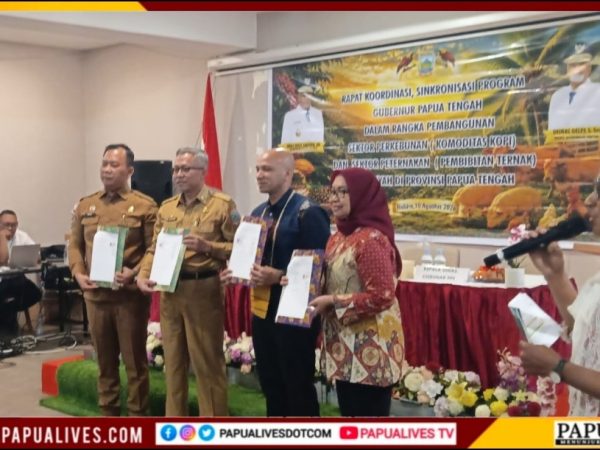 Gubernur Meki Nawipa Perintahkan Sinkronisasi Program Kopi & Ternak, Targetkan Kesejahteraan
