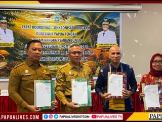 Pemprov Papua Tengah Gandeng SCOPI, Bangun Ekosistem Kopi Berkelanjutan dari Hulu ke Hilir