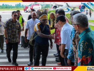 Menteri HAM Tiba di Nabire, Fokus Dialog dengan Forkopimda Soal Perlindungan HAM di Papua Tengah