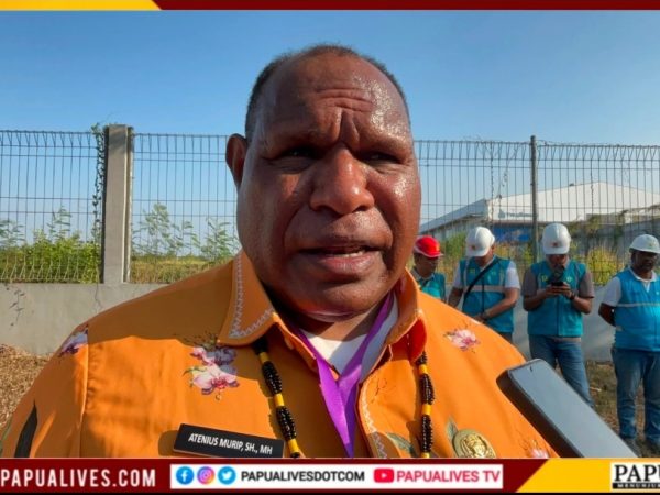 Bupati Jayawijaya Athenius Murip Hadiri Peresmian Pabrik Motor Listrik ALVA