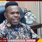 MRP Papua Tengah Desak Kapolda Usut Tuntas Kekerasan di Kwamki Narama Mimika Sebagai Tindak Pidana