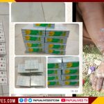 Dengar Keluhan 8 Kampung di Mewoluk, Dinkes Papua Tengah Gerak Cepat Kirim Salep Permetrin