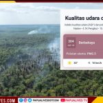 396 Hektare Terbakar di 7 Distrik, WALHI Soroti Lemahnya Pengawasan Konsesi Sawit di Nabire