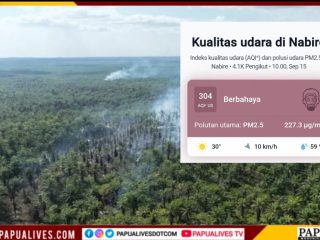 396 Hektare Terbakar di 7 Distrik, WALHI Soroti Lemahnya Pengawasan Konsesi Sawit di Nabire