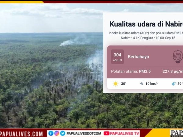 396 Hektare Terbakar di 7 Distrik, WALHI Soroti Lemahnya Pengawasan Konsesi Sawit di Nabire