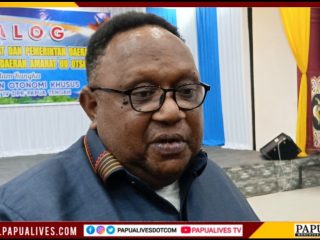 DPR Papua Tengah Akan Revisi Perdasus OAP, John Gobai: Stop Praktik ‘Obral’ Marga dan Gelar Adat