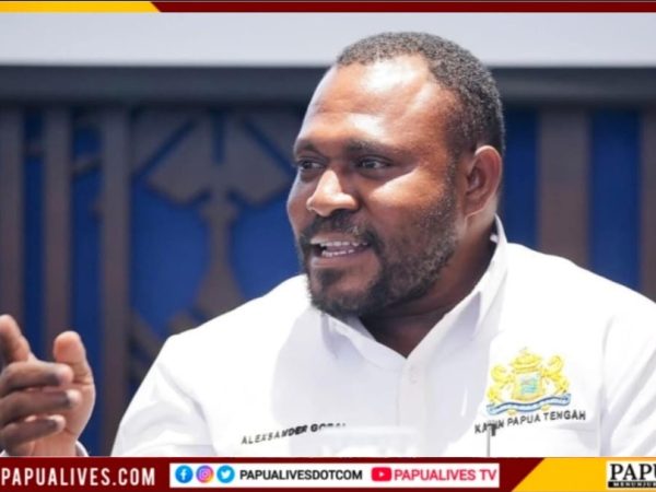 Atasi Hambatan Investasi, Kadin Papua Tengah Tawarkan Skema Sewa Lahan Adat Jangka Panjang