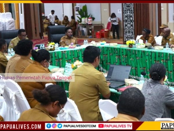 Mutasi ke OPD Baru Wajib Lewati Anjab dan ABK, Pemprov Papua Tengah Pastikan Kualitas SDM