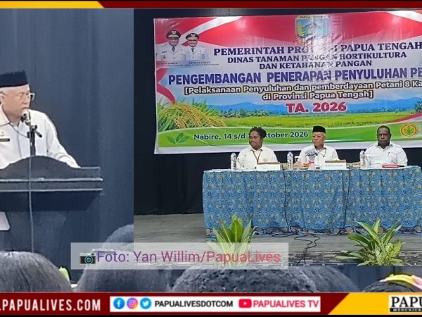 Masih Bergantung 90% Pasokan Luar, Pemprov Papua Tengah Perkuat Ketahanan Pangan Daerah
